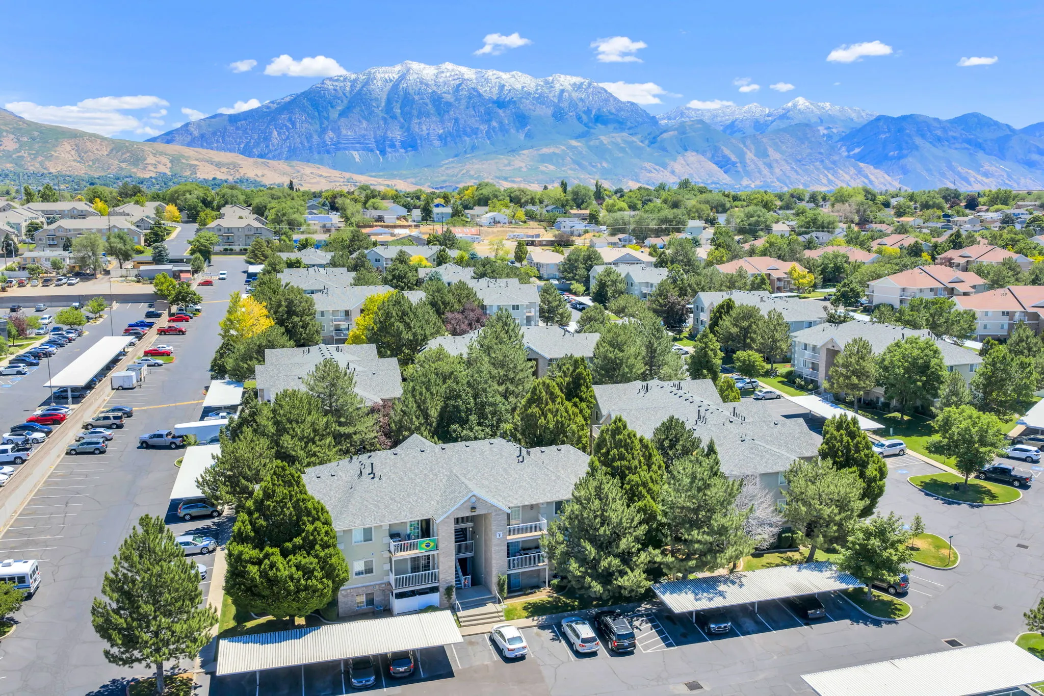 Aerial perspective showcasing mature trees