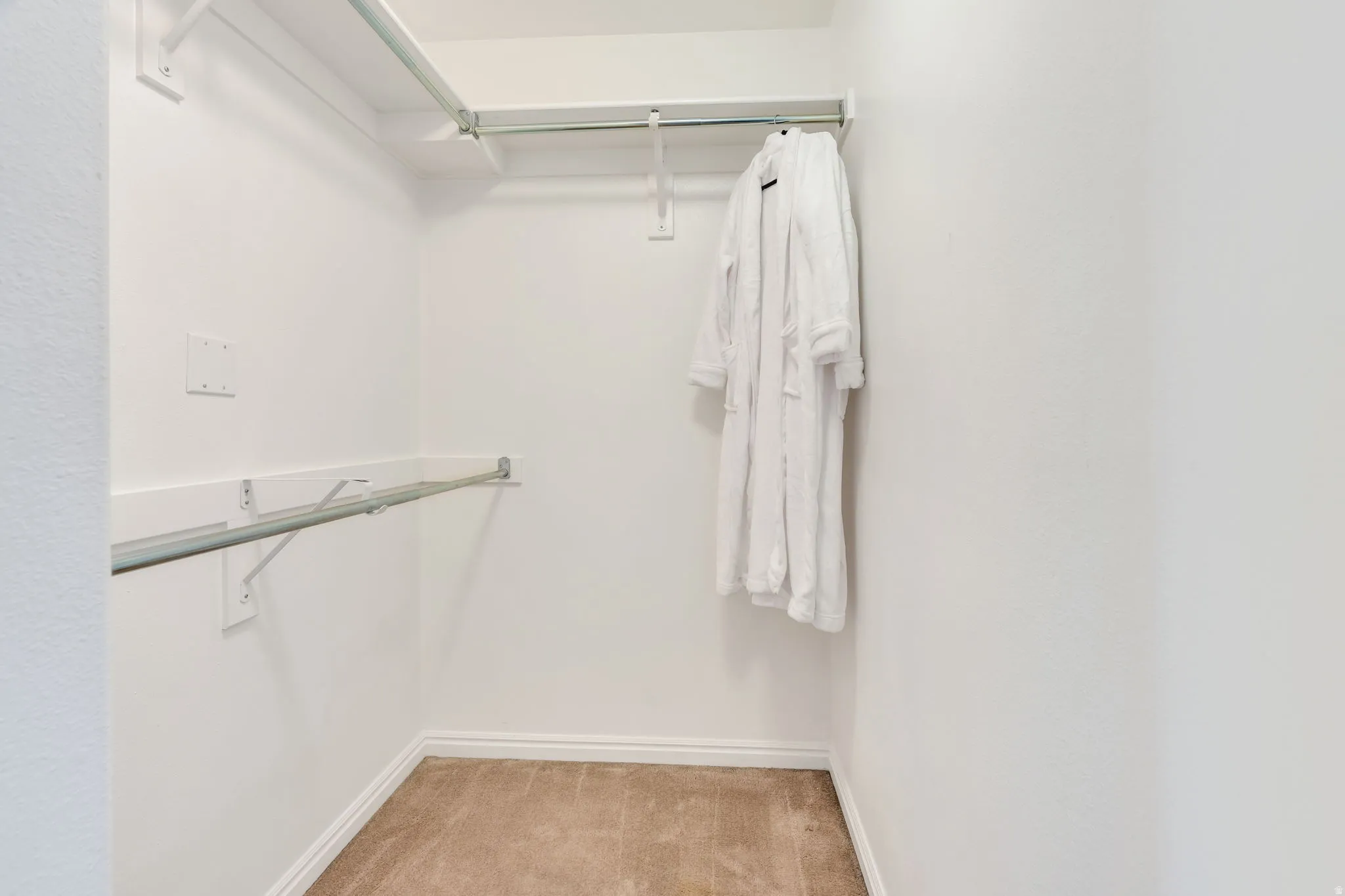 Large Walk-in Closet featuring built-in shelving, hanging rods, and carpet flooring.