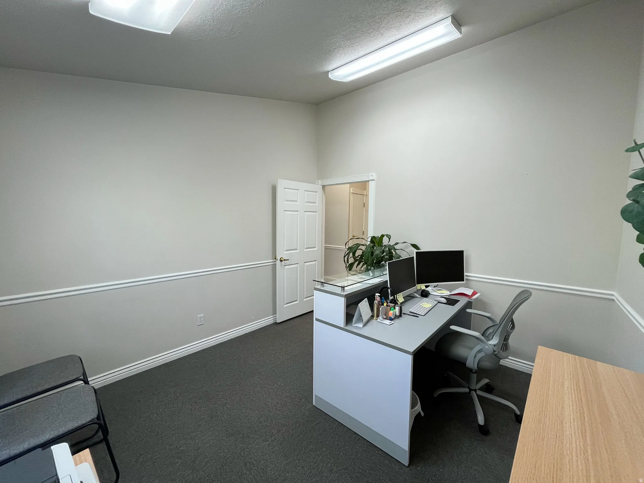 Professional office space featuring light-toned walls with chair rail molding and dark gray carpet flooring