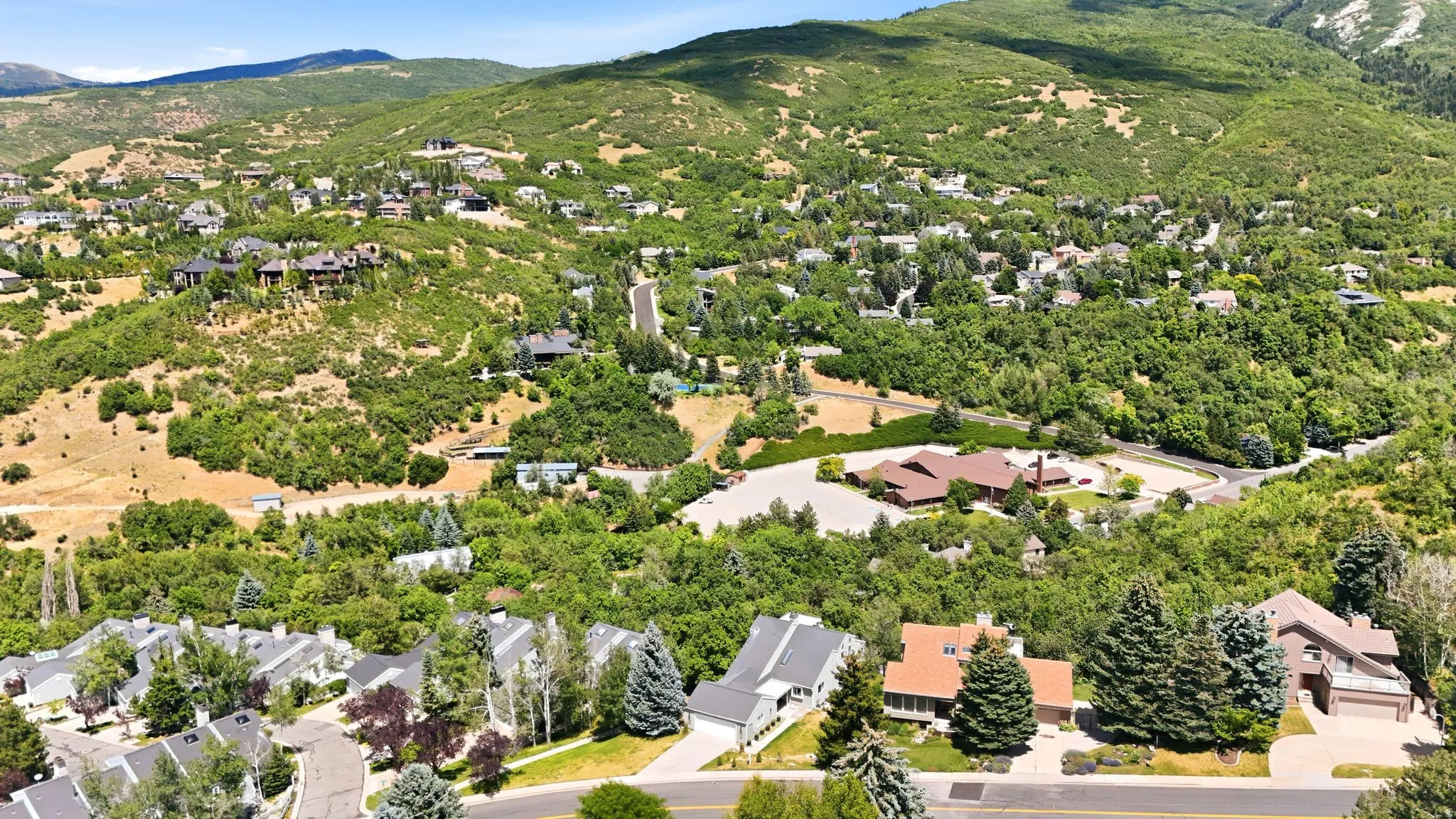 Expansive mountain landscape featuring residential properties nestled among abundant green foliage