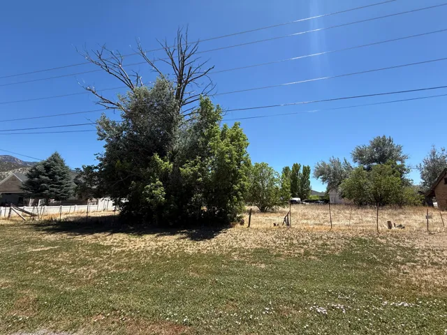Expansive lot featuring mature trees and established perimeter fencing