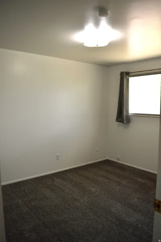 Neutral-toned walls complement the dark textured carpeting