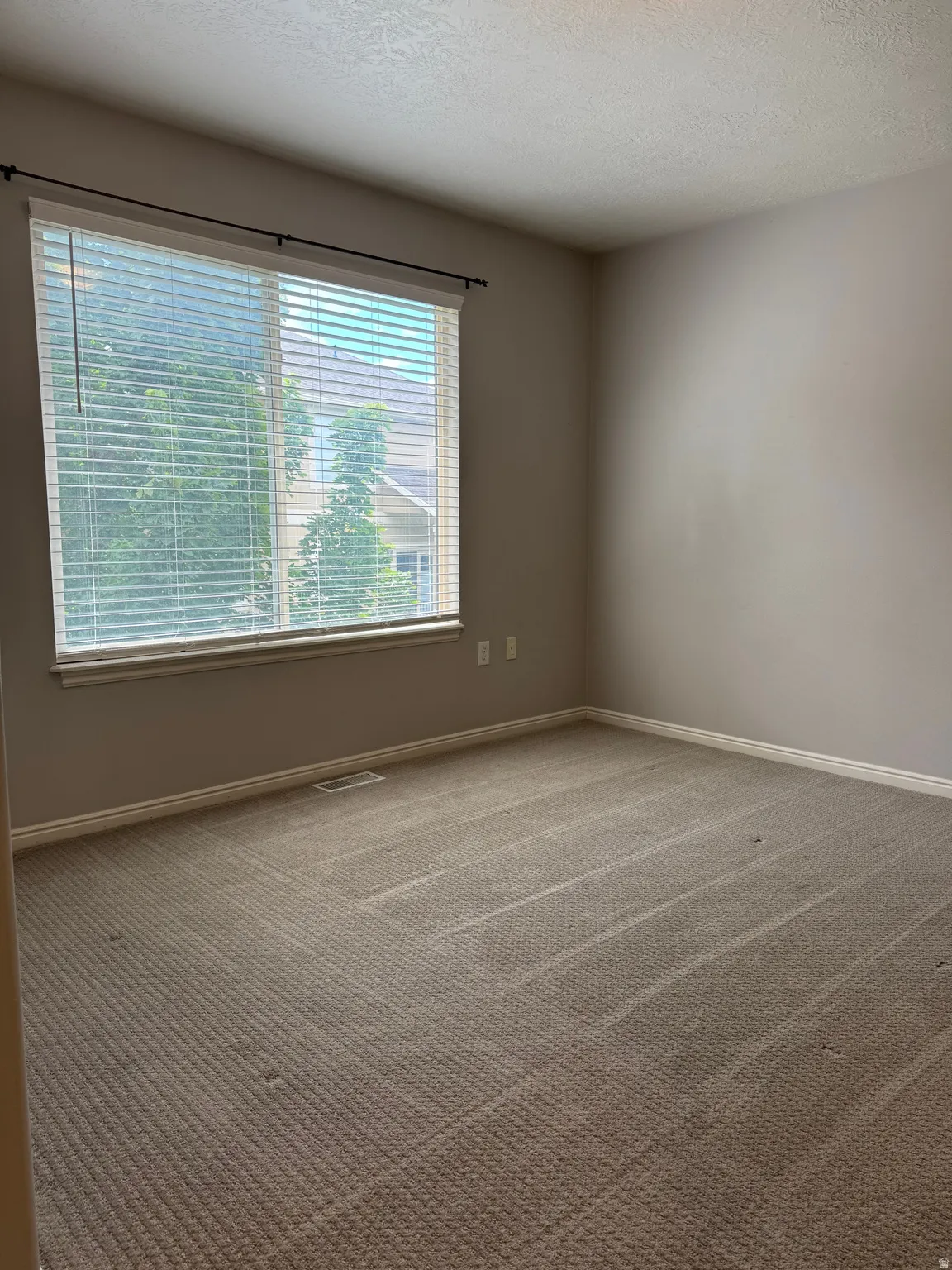 The primary bedroom's large window lets in tons of natural light dappled by the mature tree in the backyard