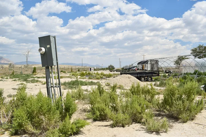 Electrical service pole with meter and conduits, surrounded by low-lying scrub