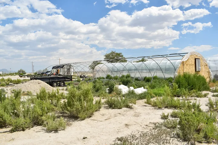 Hoop house structures featuring clear paneling and wood-finish end walls