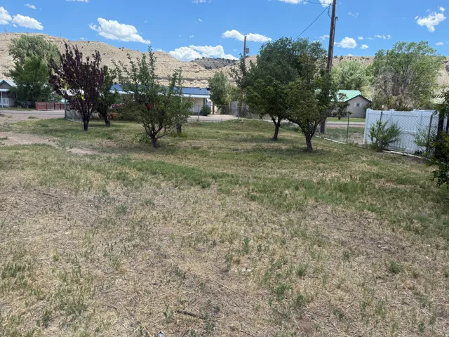 Expansive lot featuring mature trees, partial fencing, and a clear view of distant hills