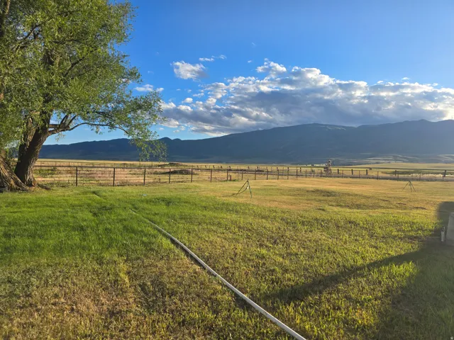 Expansive grassy area featuring a mature tree, perimeter fencing, and distant mountain scenery under a partly cloudy sky