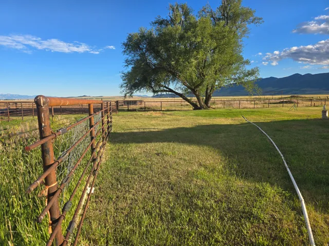 Expansive green space featuring a large mature tree, a rustic metal fence, and a distant mountain range