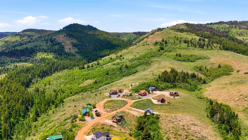 Mountainous terrain with lush green vegetation and scattered evergreen trees