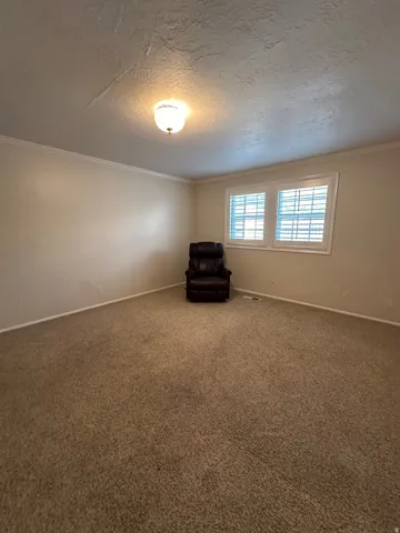 Primary room on level 1 is a spacious room featuring neutral carpeting, light-colored walls, white baseboards, and white crown molding