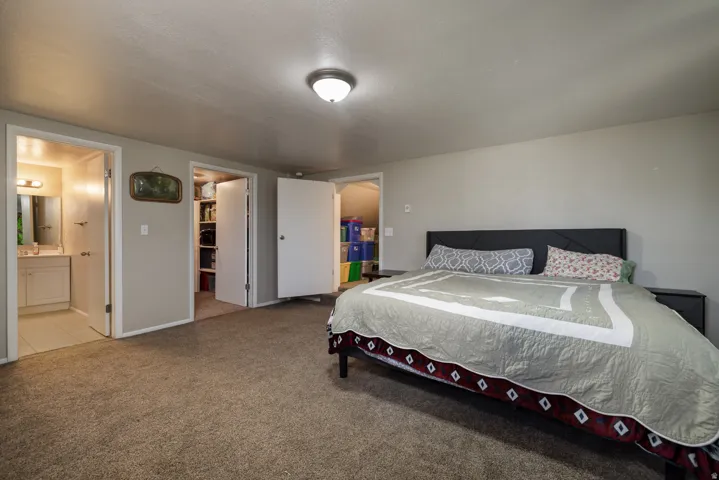 Carpeted room featuring light gray walls and a ceiling-mounted light fixture