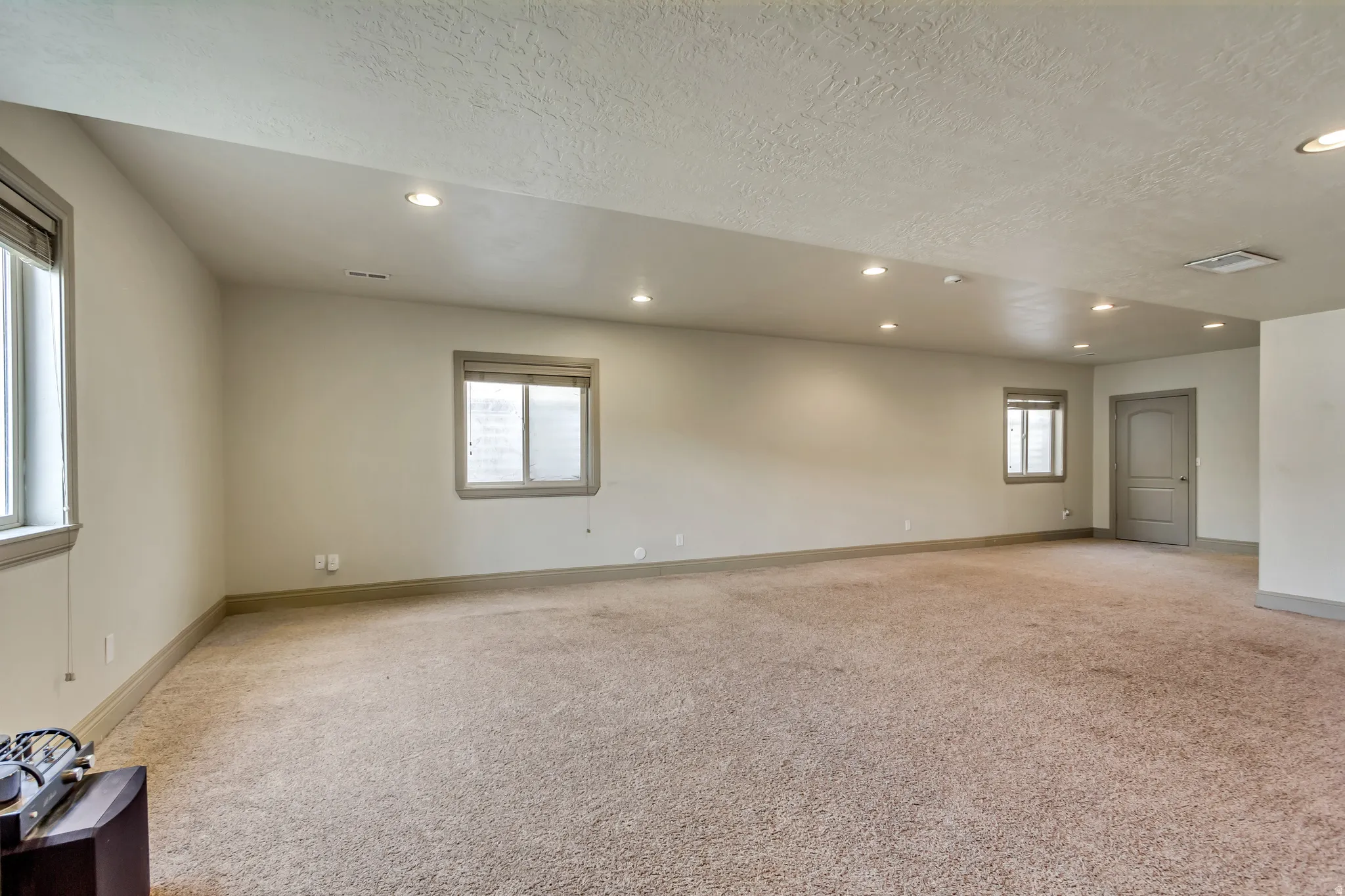 Spacious room featuring neutral carpeting, recessed lighting, multiple windows, and a panel door