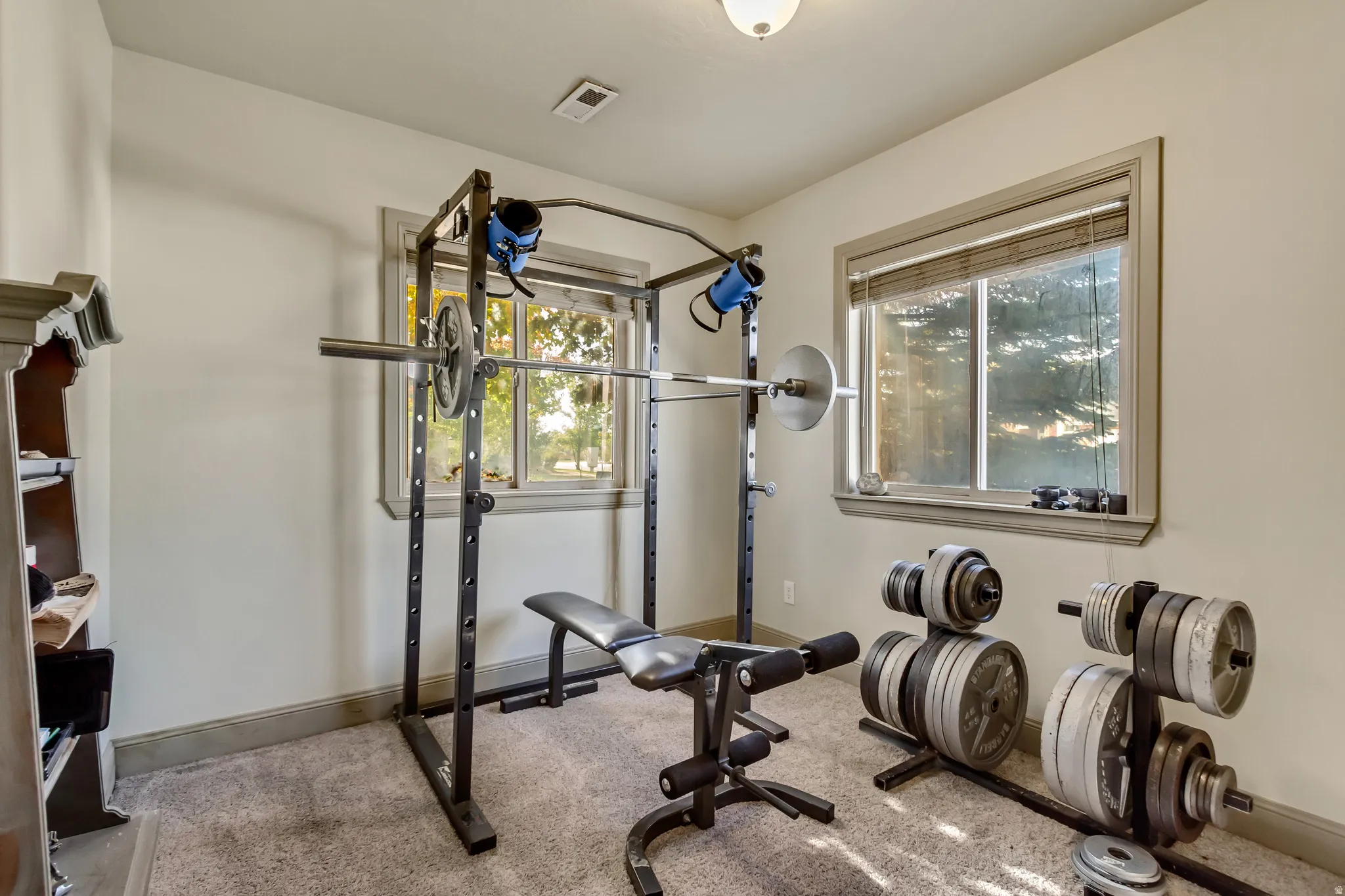Dedicated room featuring light-colored carpet flooring and neutral wall tones