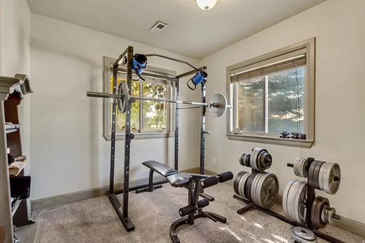 Dedicated room featuring light-colored carpet flooring and neutral wall tones