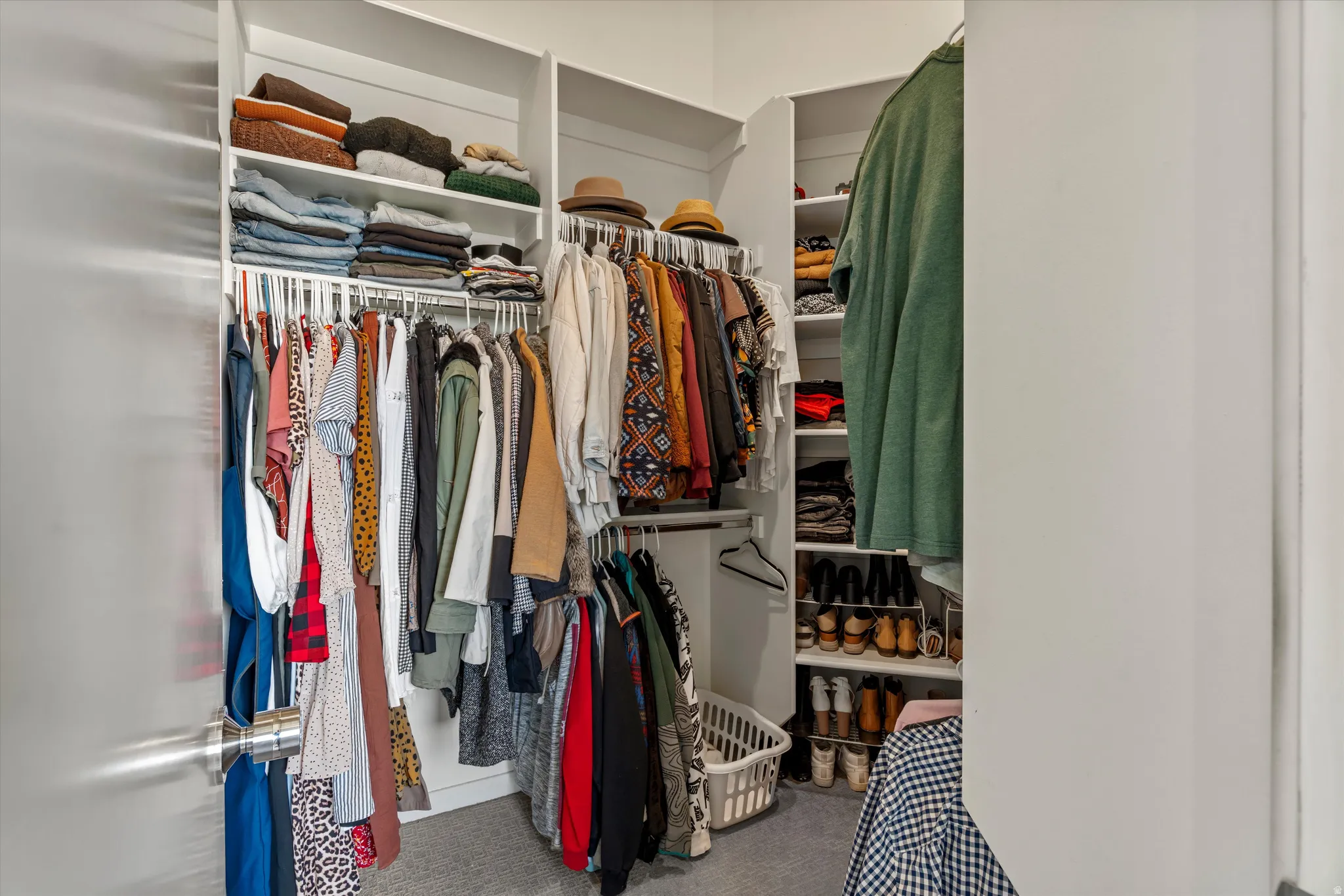 Walk-in closet featuring white built-in shelving, multiple hanging rods, and light gray carpeting