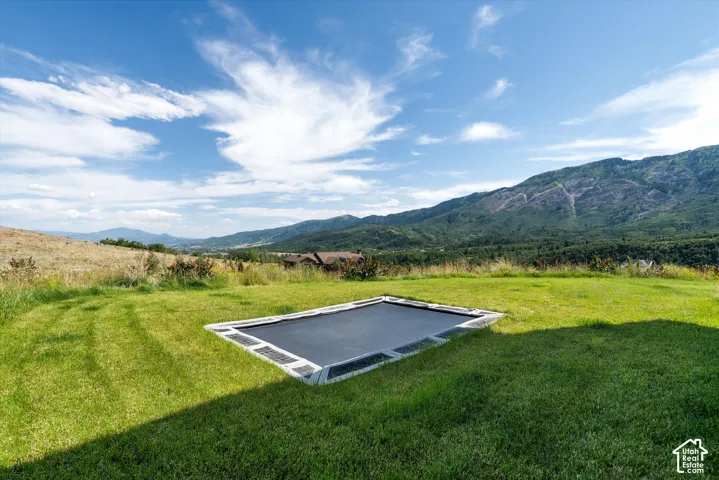 Expansive grassy lawn featuring a built-in rectangular trampoline