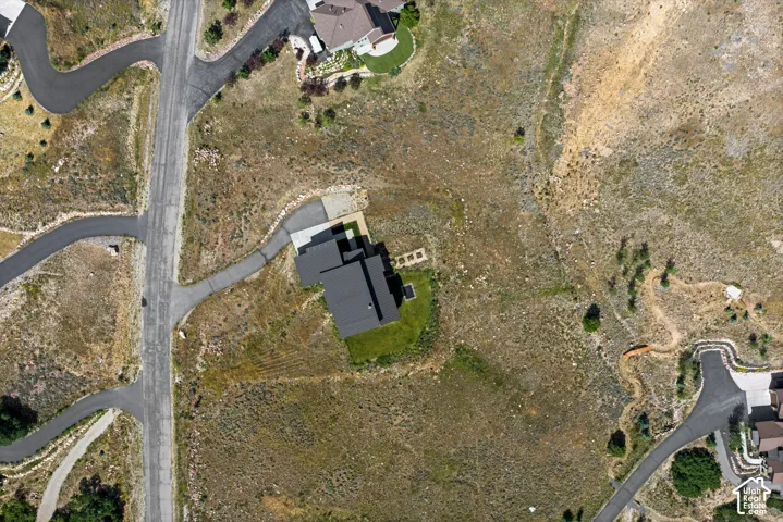 Modern single-story residence with a dark-pitched roof and a contrasting light-colored driveway
