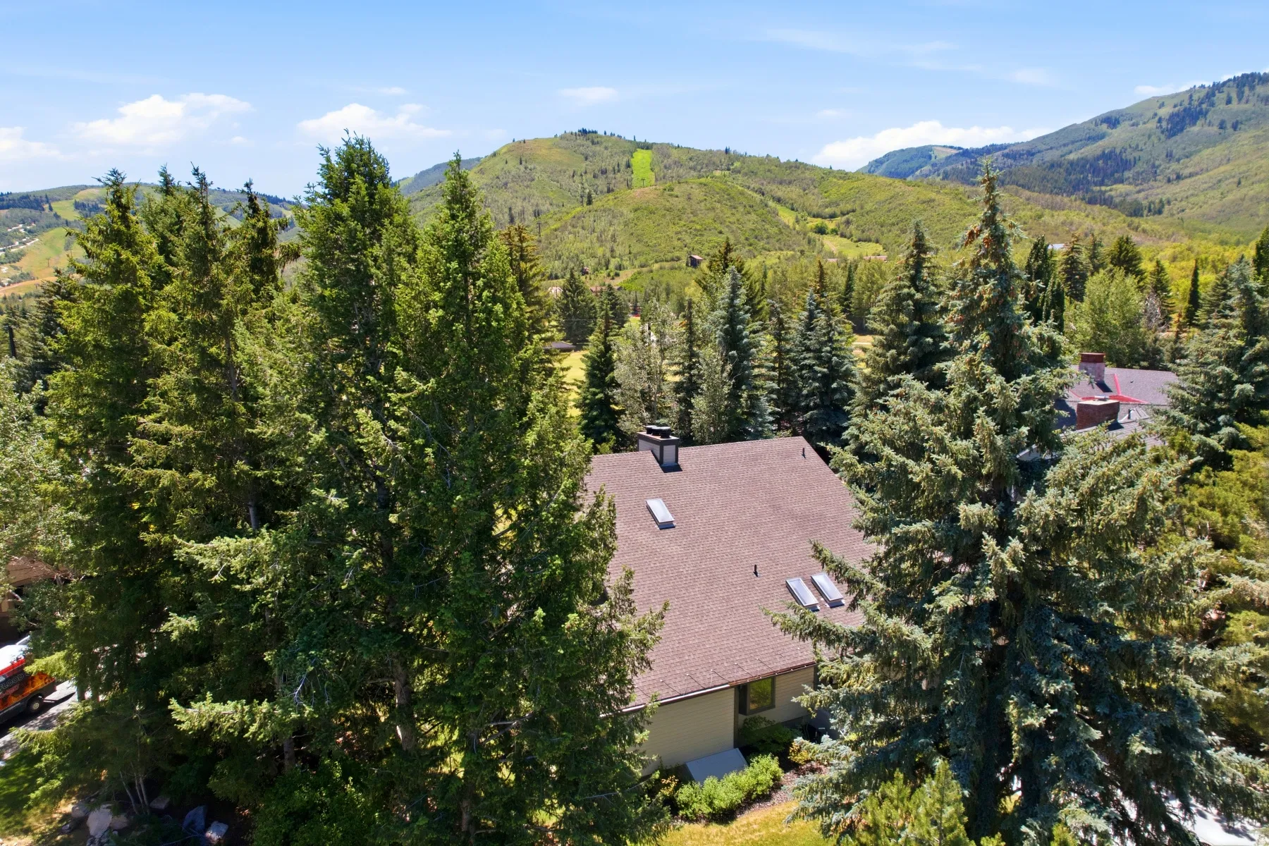 Pitched roofline with multiple skylights and a prominent chimney