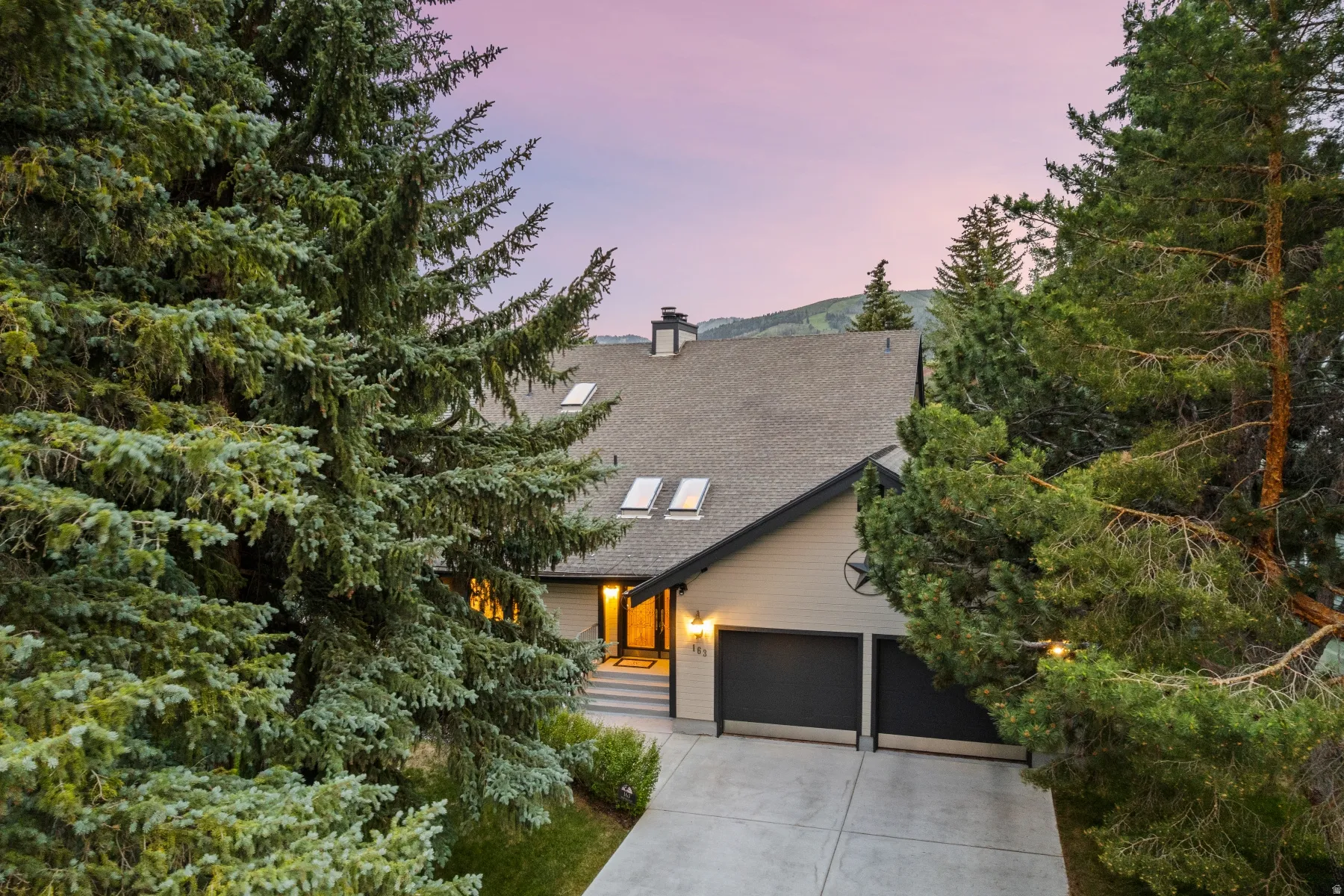 Gable roofline with skylights, attached two-car garage, and a concrete driveway