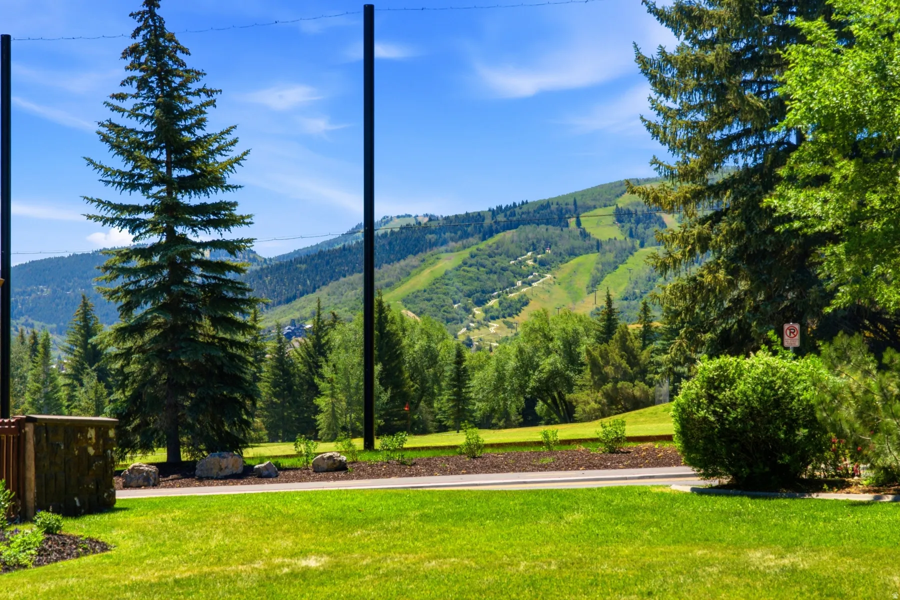 Expansive green lawn easement with mountain backdrop, surrounded by mature evergreen trees and landscaping