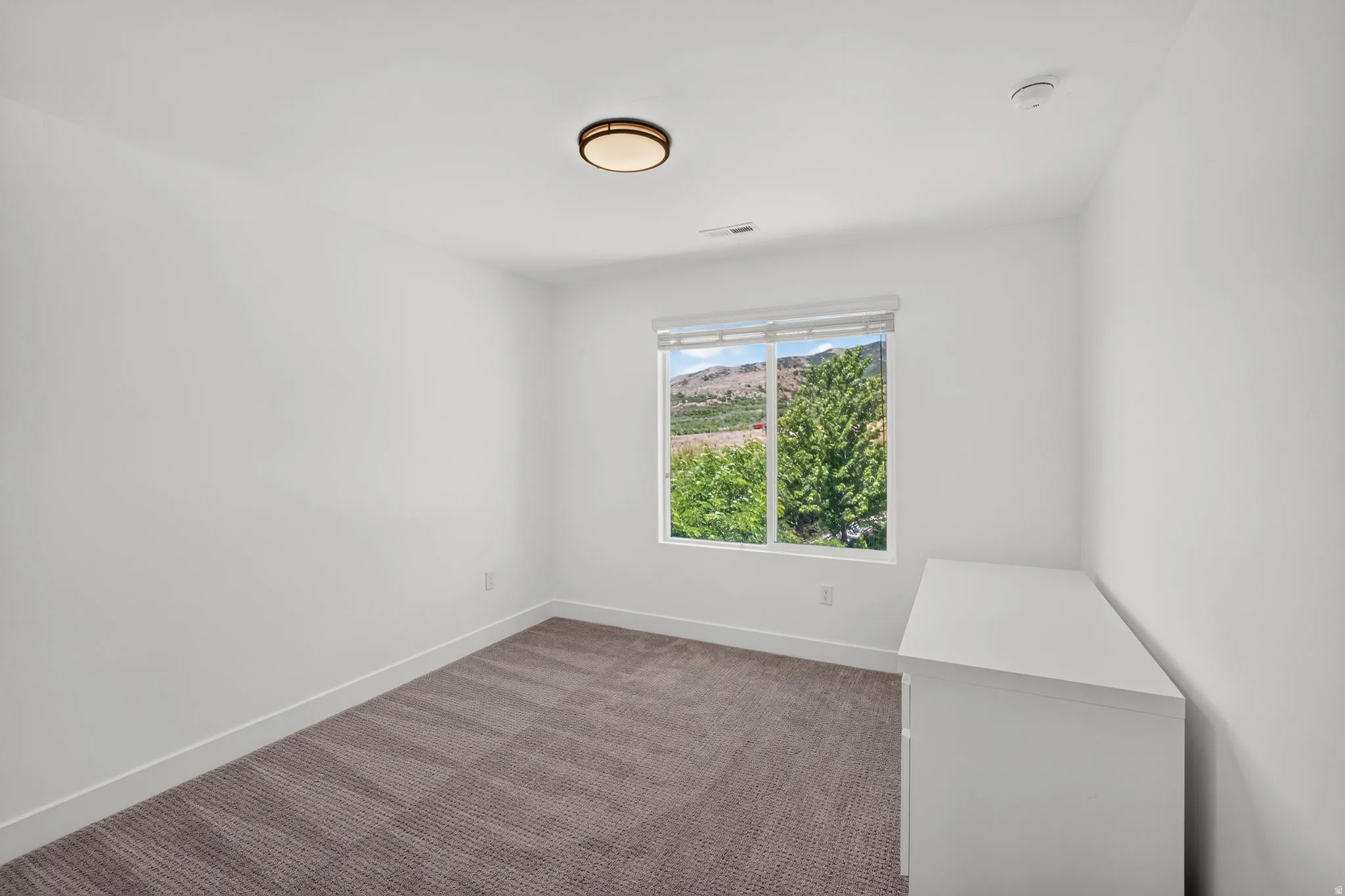 Bright room with a large window, neutral carpeting, and a flush-mount ceiling light