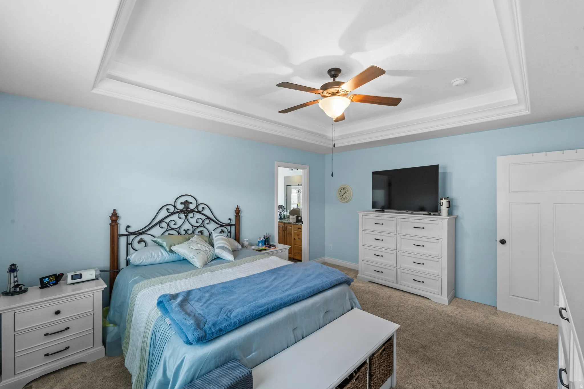 Bedroom with a tray ceiling and ceiling fan