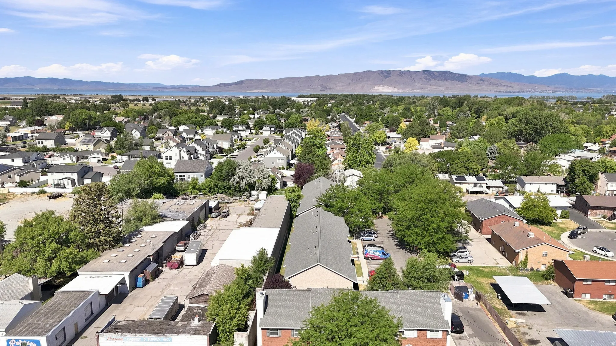Elevated aerial perspective showcasing established residential areas with mature trees