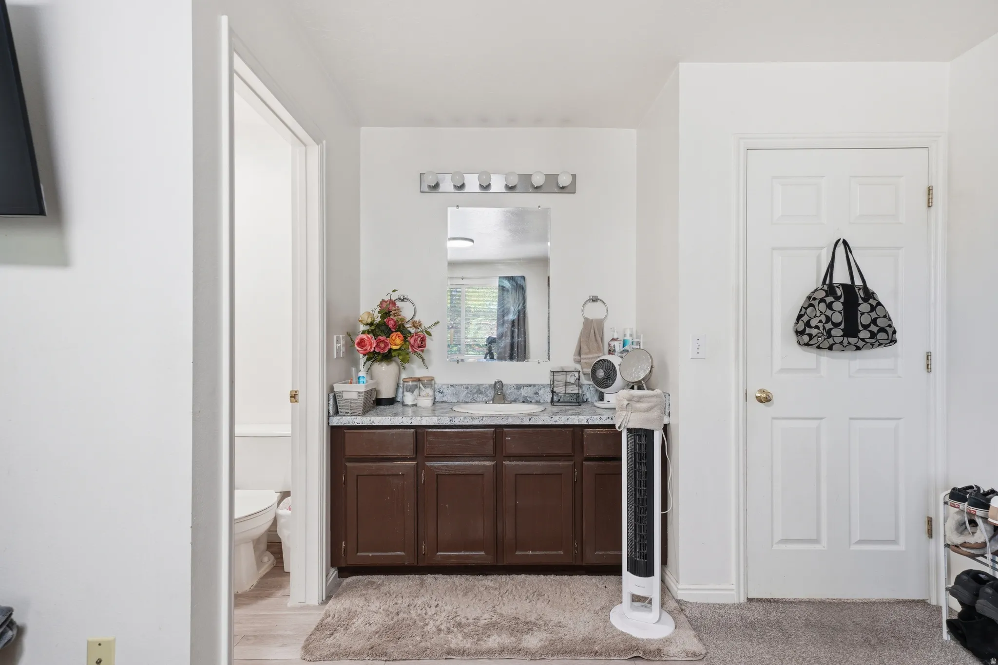 Vanity area featuring a single basin, laminate countertop, and wood-finish cabinetry