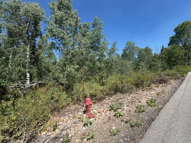 Natural terrain featuring a bright red fire hydrant, abundant green foliage, and mature trees under a clear blue sky