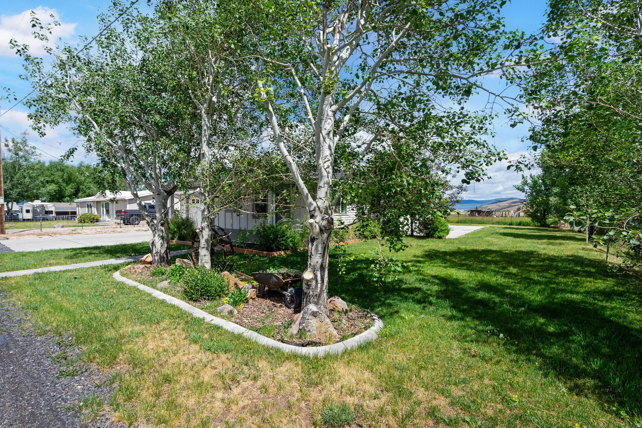 Expansive front yard with mature trees and established landscaping beds