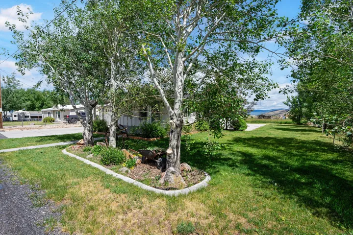 Expansive front yard with mature trees and established landscaping beds