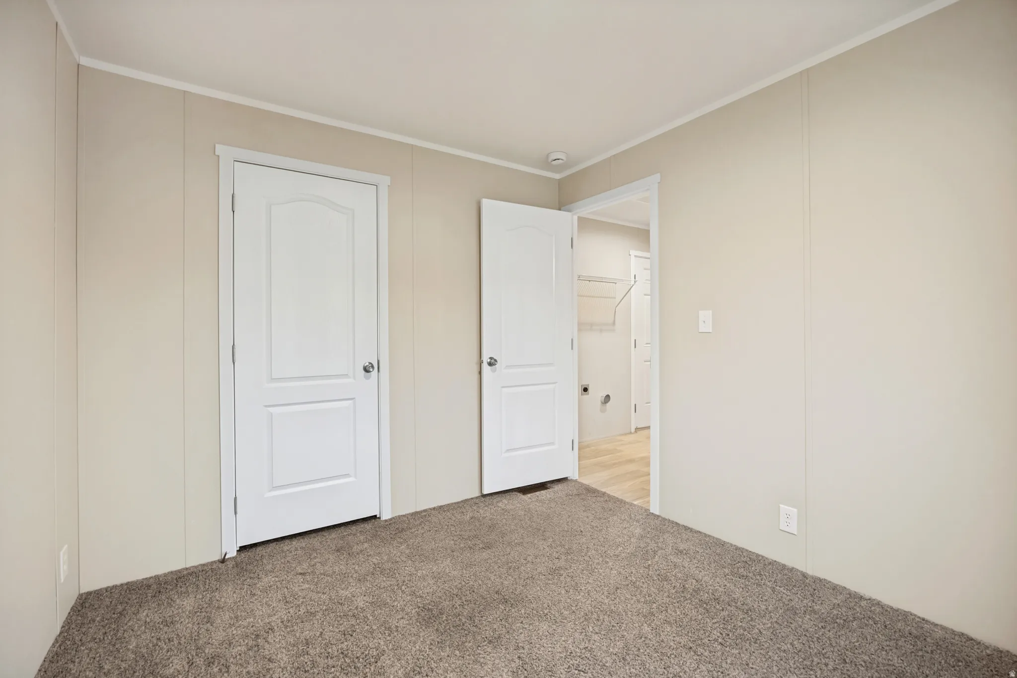 Carpeted interior space featuring light-toned walls and two white panel doors