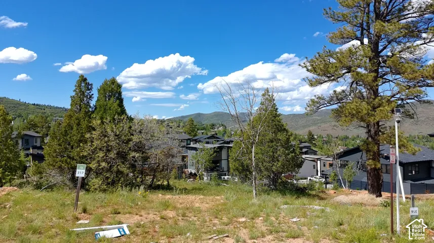 Expansive land parcel with surrounding residential structures and mature trees