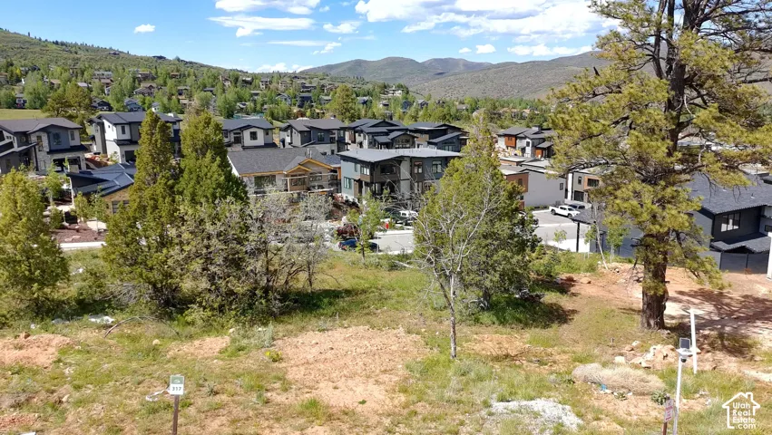 Developing hillside community featuring mature pine trees and varied contemporary architecture