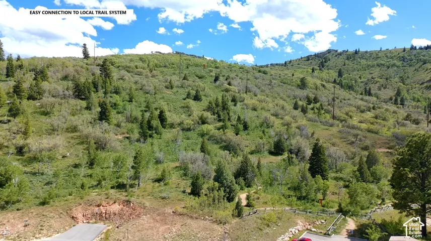 Mountainous terrain featuring diverse tree cover and clear skies