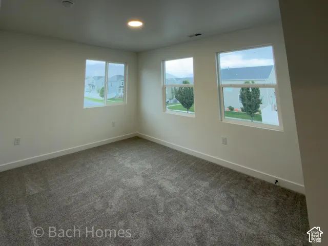 Neutral wall palette, carpeting, and multiple windows with white trim