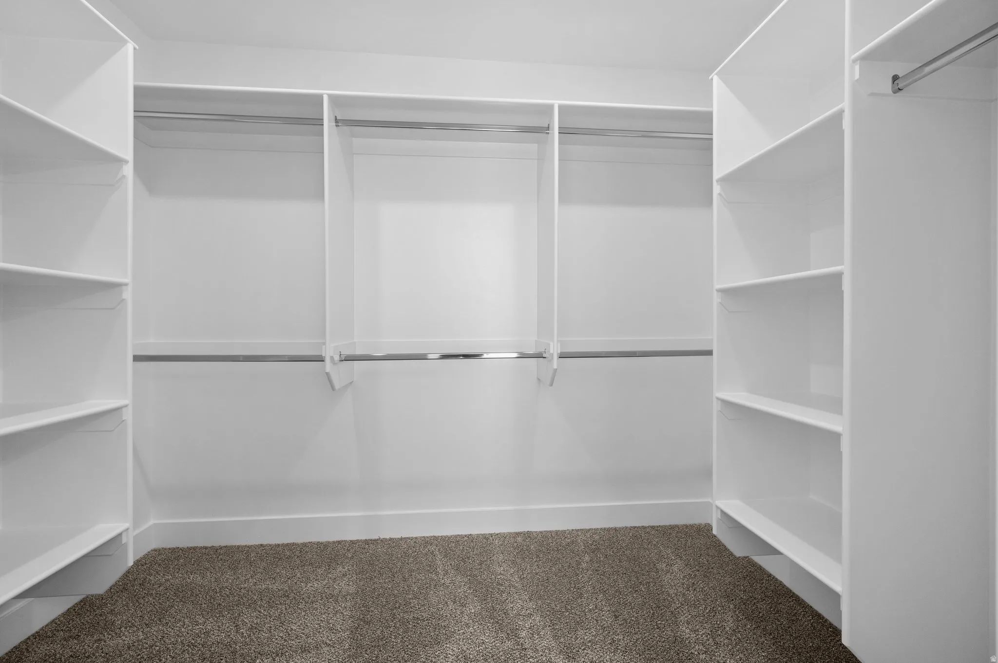 Walk-in closet featuring built-in shelving, multiple hanging rods, white walls, white baseboards, and carpet flooring