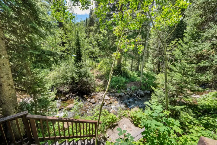 11402 E Silver Rd, Brighton, Utah 84121