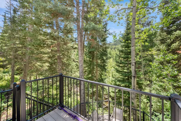 11402 E Silver Rd, Brighton, Utah 84121