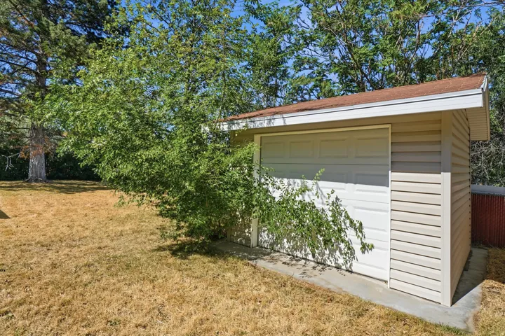 Detached single-car garage featuring a paneled door and beige horizontal siding
