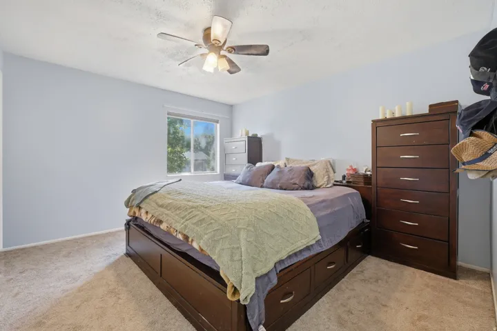 Light-filled room featuring a window with natural light, neutral carpeting, a ceiling fan with integrated lighting, and light-toned wall finishes