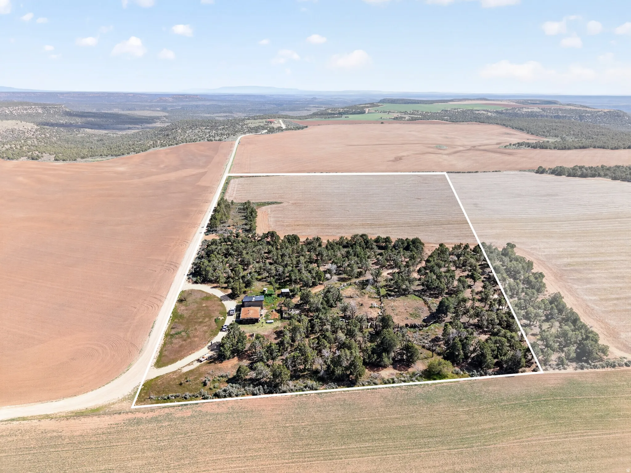 15.99 acres, trees and farmed area and residence