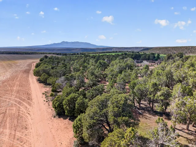 1104 S Eastland Rd, Monticello, Utah 84535