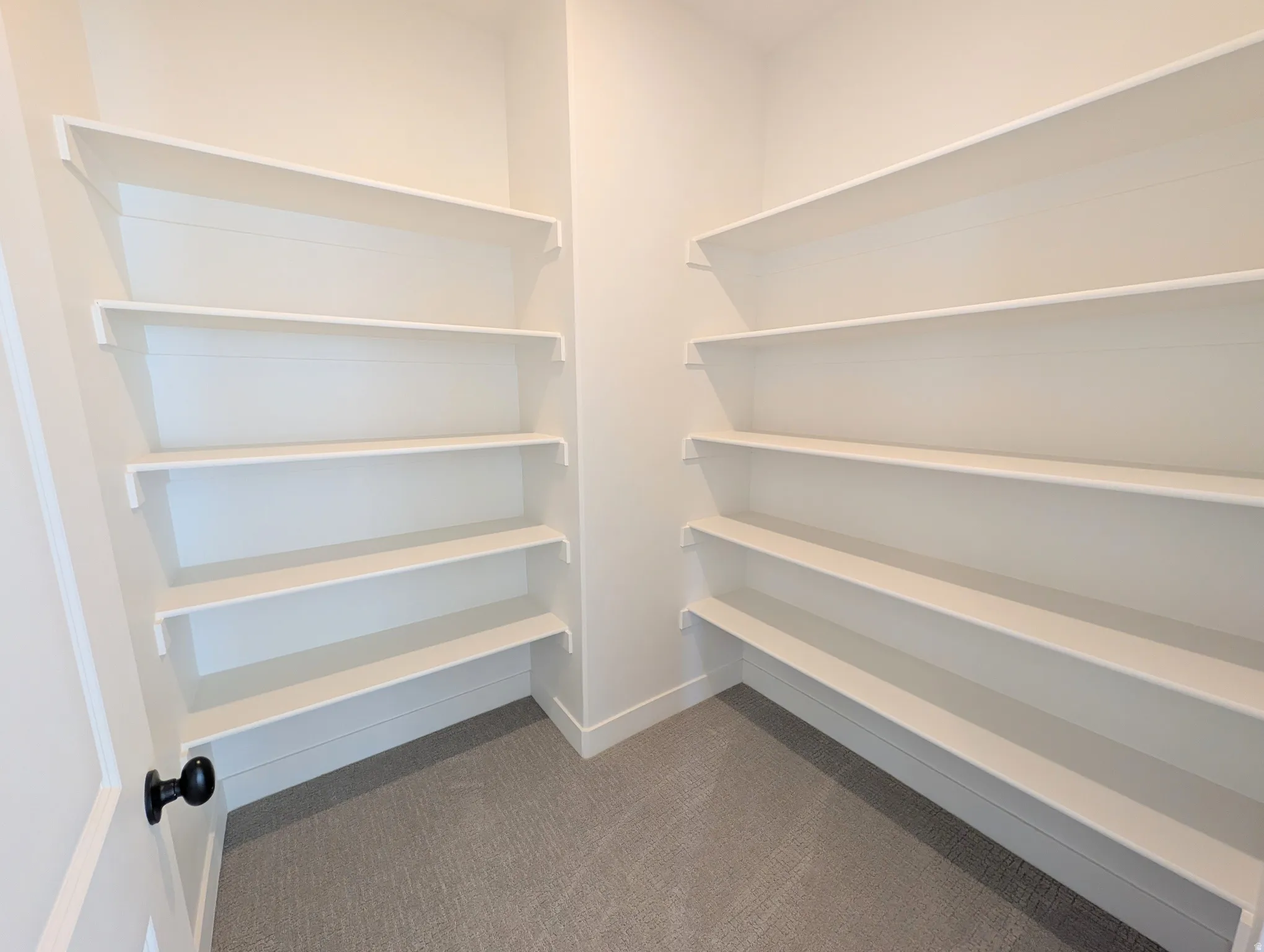 Hallway closet with Built-in shelving, white walls, and carpet flooring