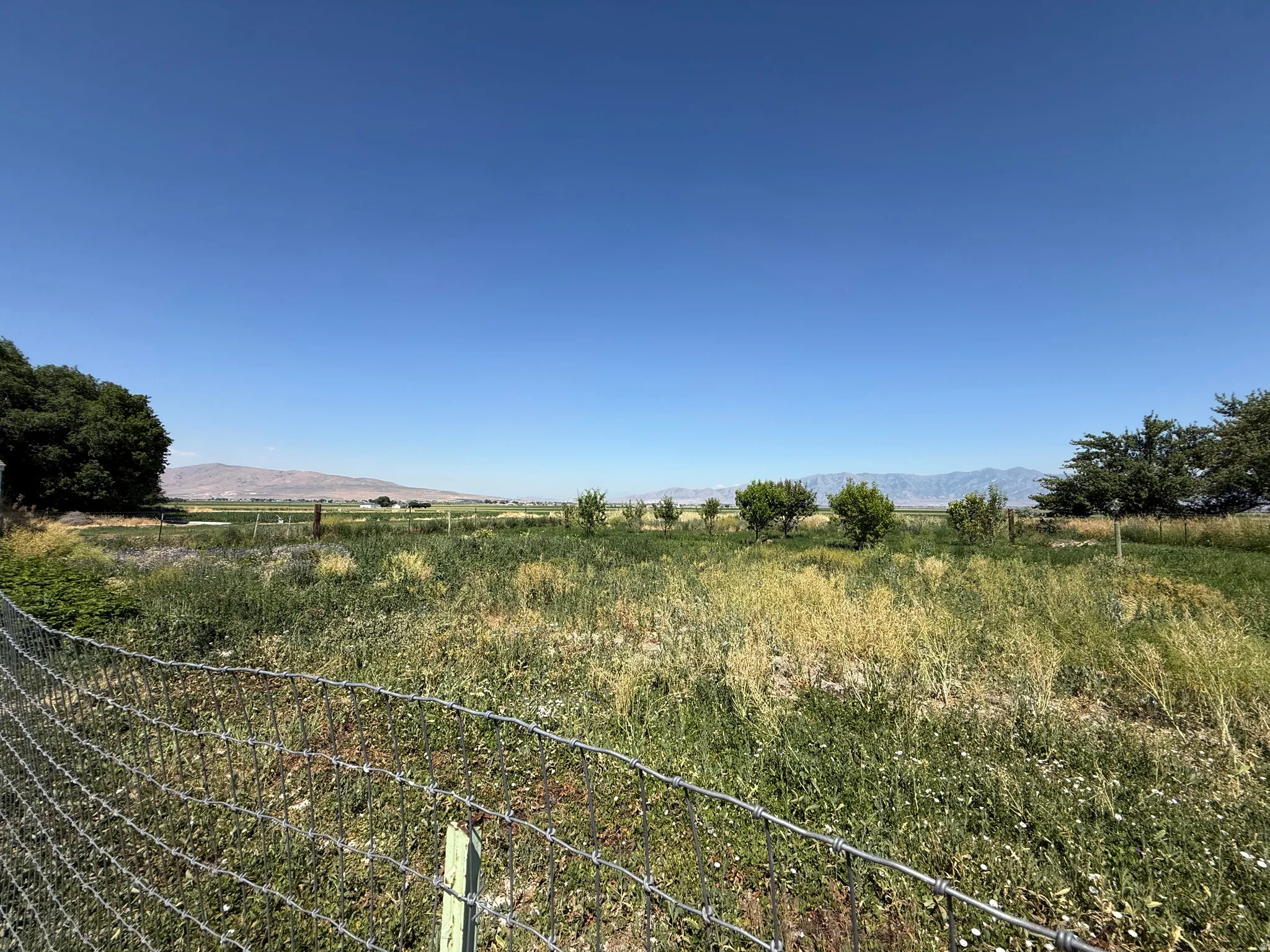 Expansive open field featuring varied vegetation and distant mountain ranges under a clear sky
