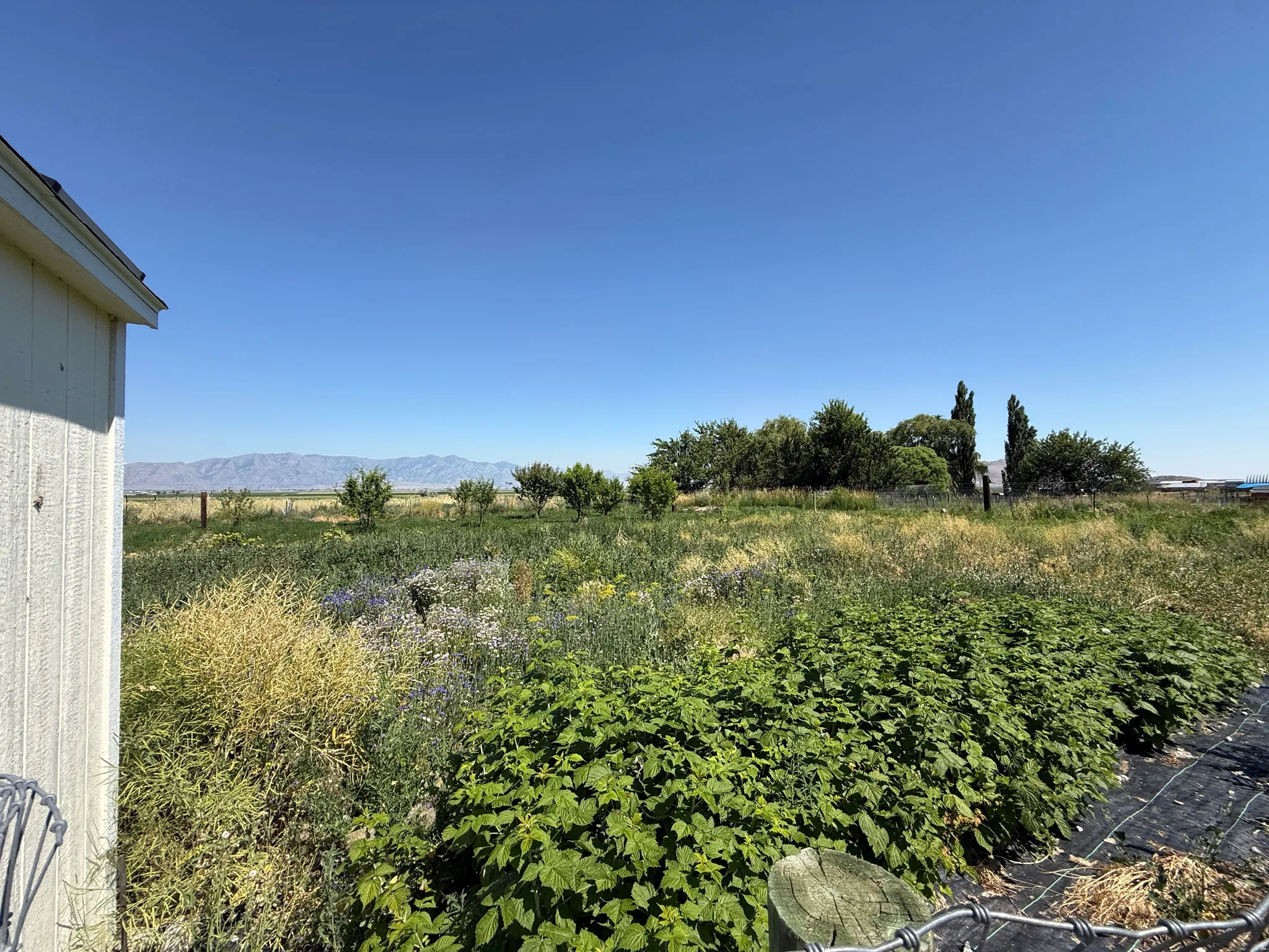 Expansive outdoor space featuring varied vegetation, distant mountain range, and clear skies