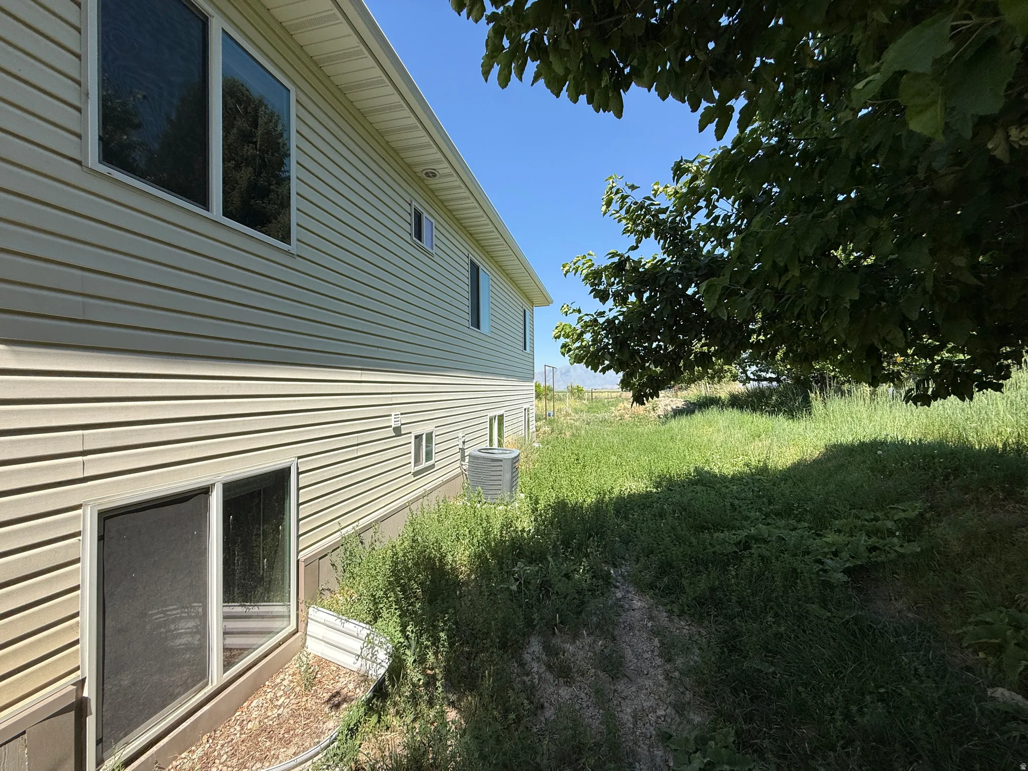 Cream-colored vinyl siding exterior with multiple windows
