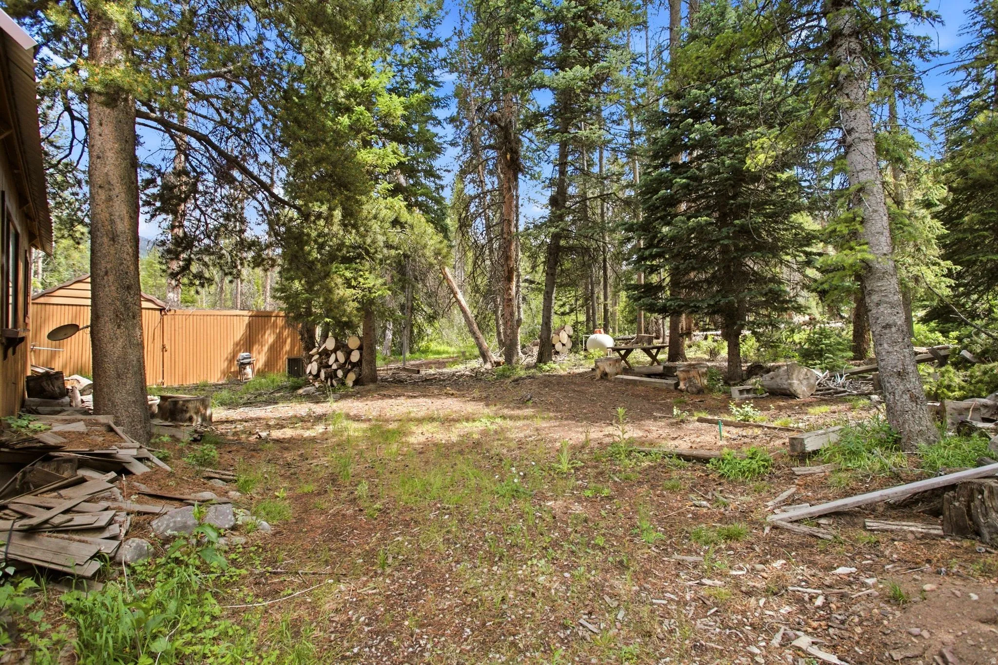 Wooded lot featuring mature pine trees, a wood-sided building, and a separate storage shed with corrugated metal siding