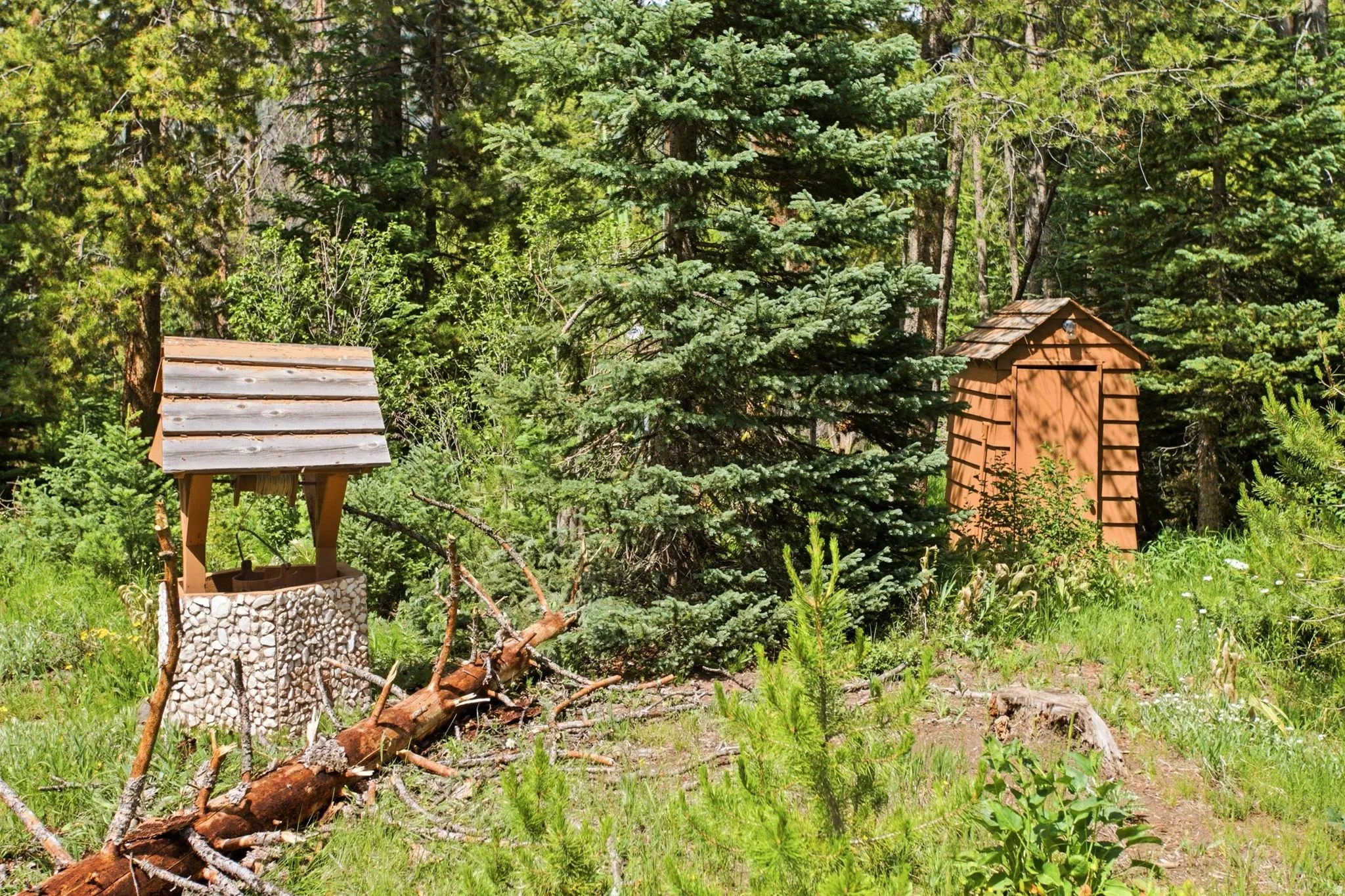 Woodland setting featuring a stone-clad wishing well with a wood-shingled roof and a rustic wooden outbuilding