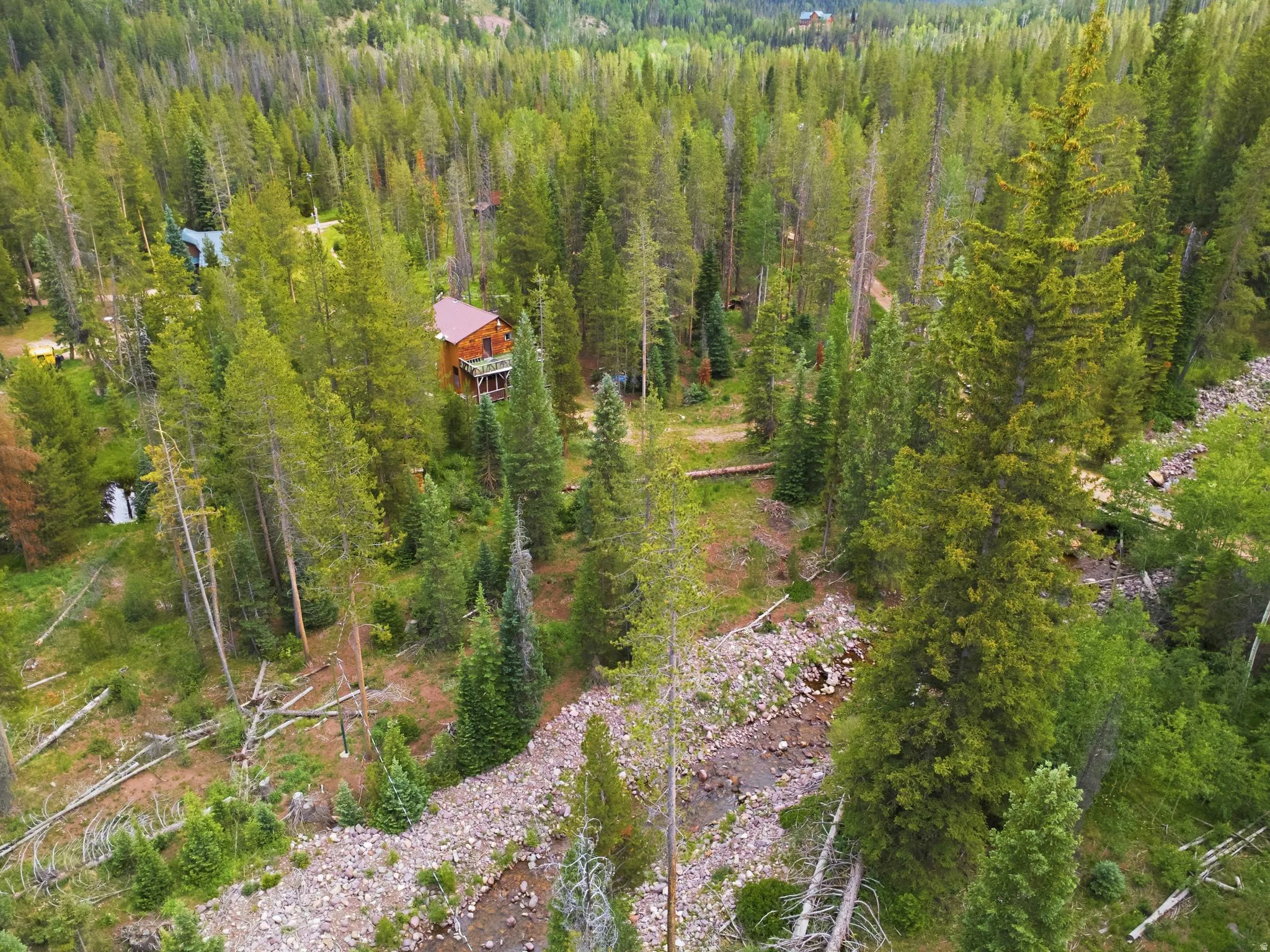 Wood-sided cabin nestled among mature evergreen trees